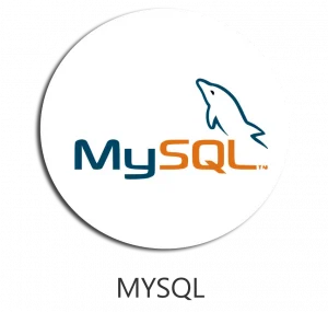 MySQL Database