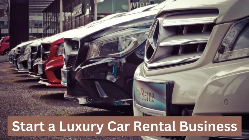 featuring luxury car rental business